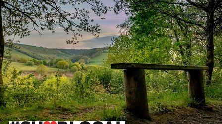 ndg torrington commons shop lo 491b4cfe